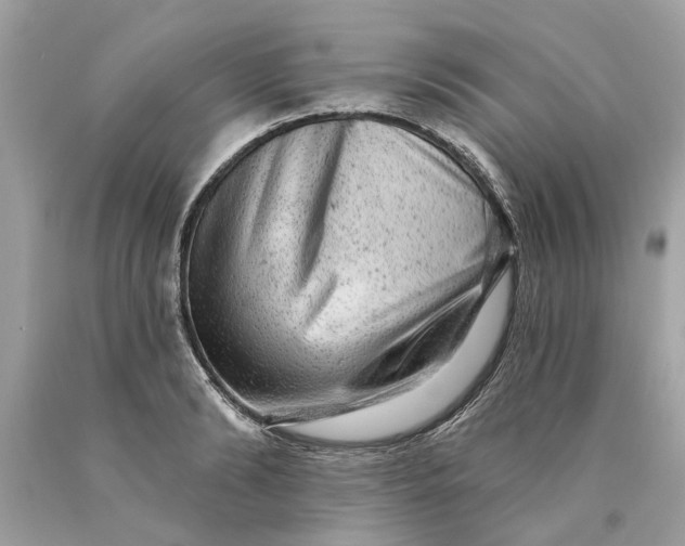 X0000089960894200707201946