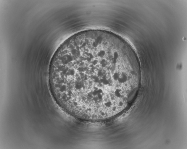 X0000089960895200707201946