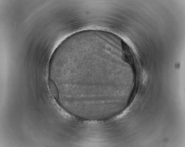 X0000089960896200707201946