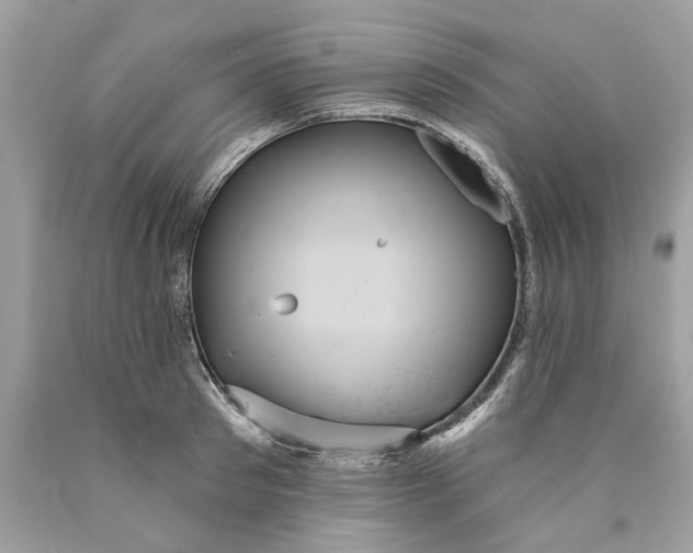 X0000089960897200707201946