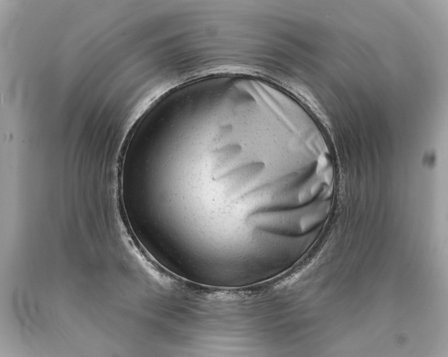 X0000089960898200707201946