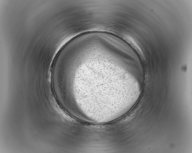 X0000089960900200707201946