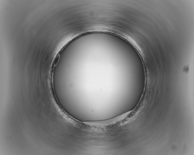 X0000089960901200707201946