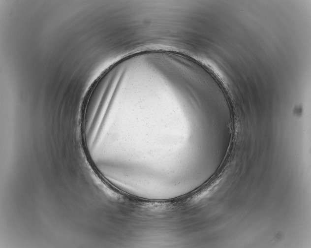 X0000089960902200707201946