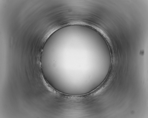 X0000089960905200707201946