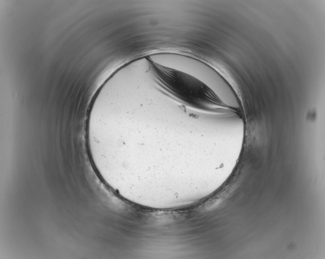 X0000089960906200707201946