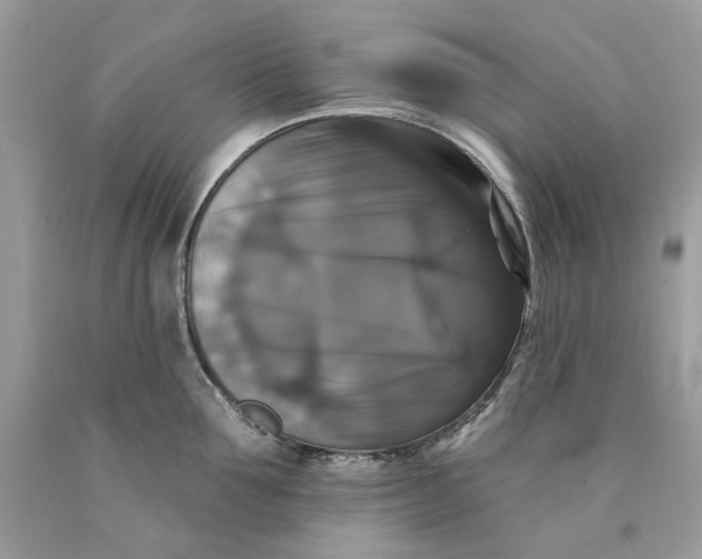 X0000089960907200707201946