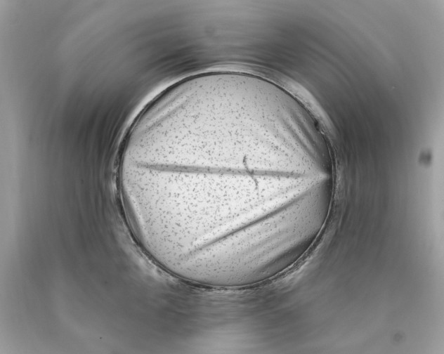 X0000089960908200707201946