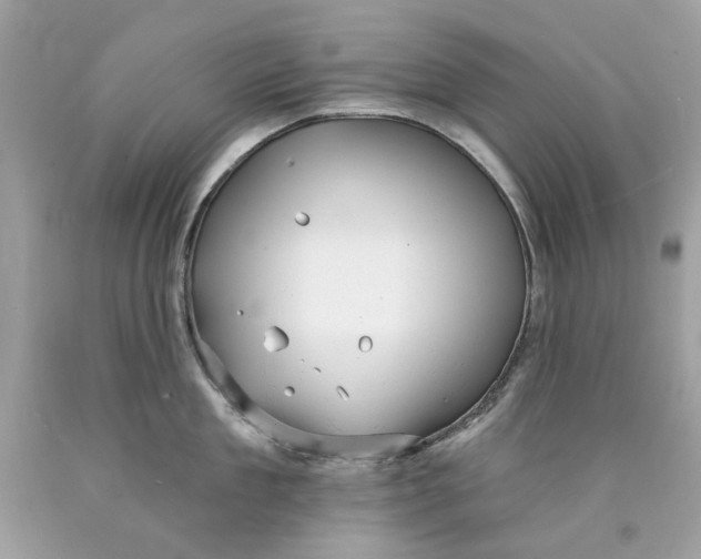 X0000089960909200707201946