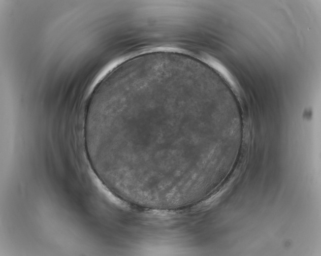 X0000089960910200707201946