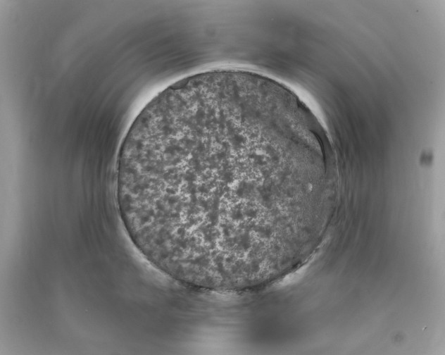 X0000089960911200707201946