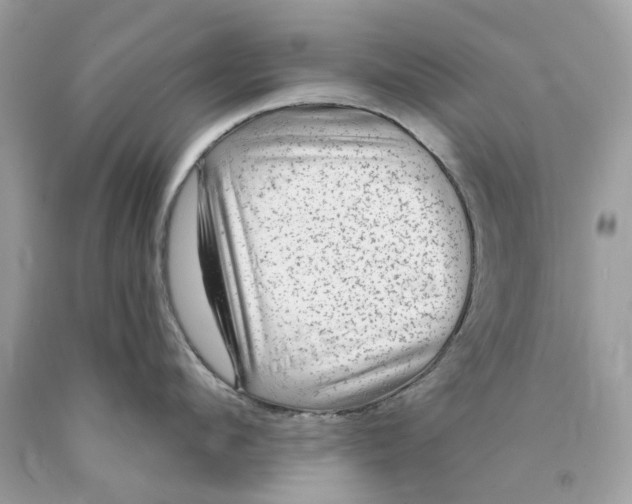 X0000089960912200707201945