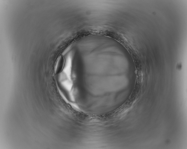 X0000089960913200707201945