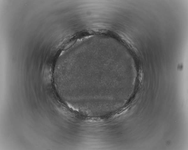 X0000089960915200707201945