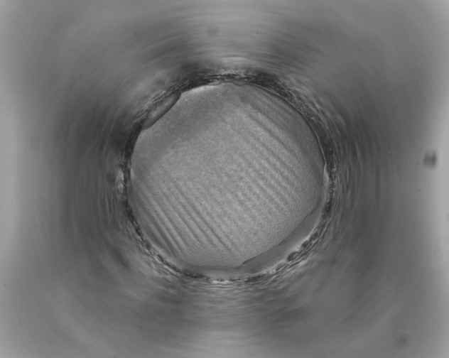 X0000089960916200707201945