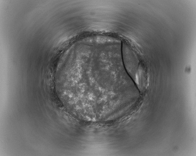 X0000089960917200707201945