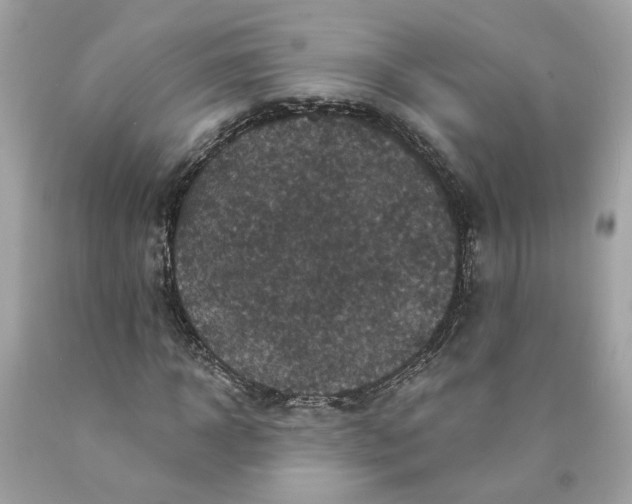 X0000089960918200707201945