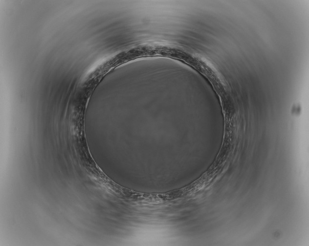 X0000089960919200707201945