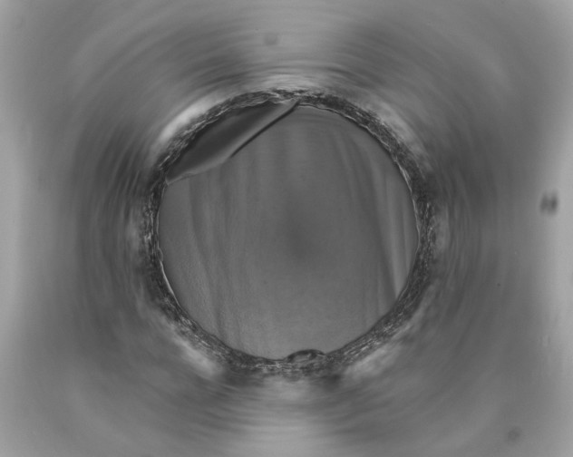 X0000089960920200707201945