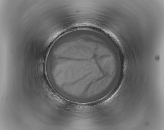 X0000089960921200707201945