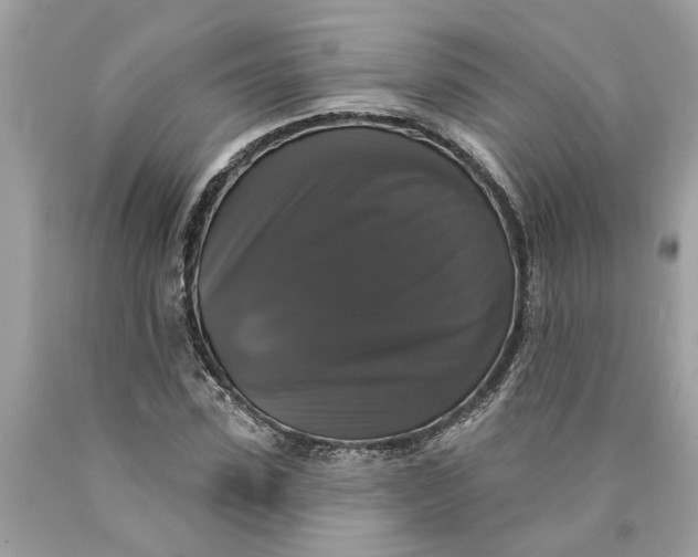 X0000089960923200707201945