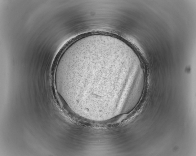 X0000089960924200707201945