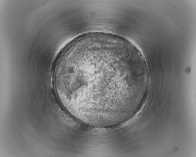 X0000089960925200707201945