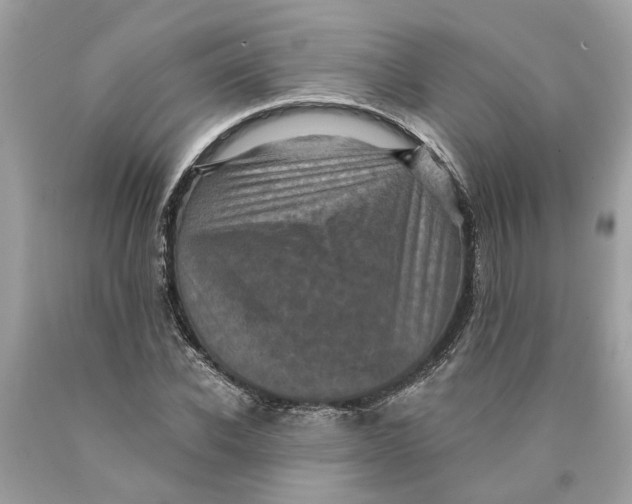 X0000089960926200707201945