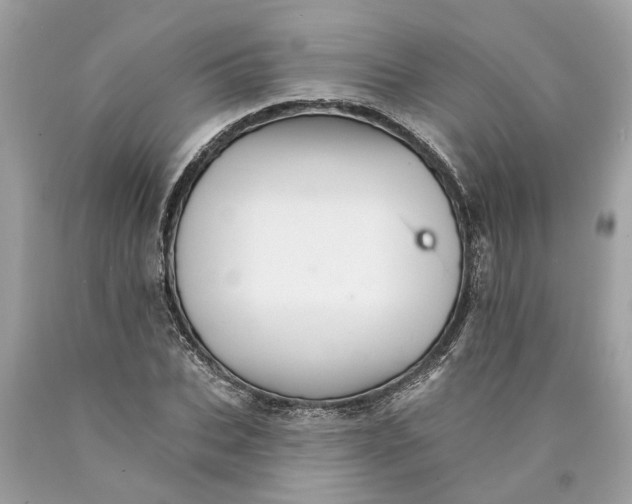 X0000089960927200707201945