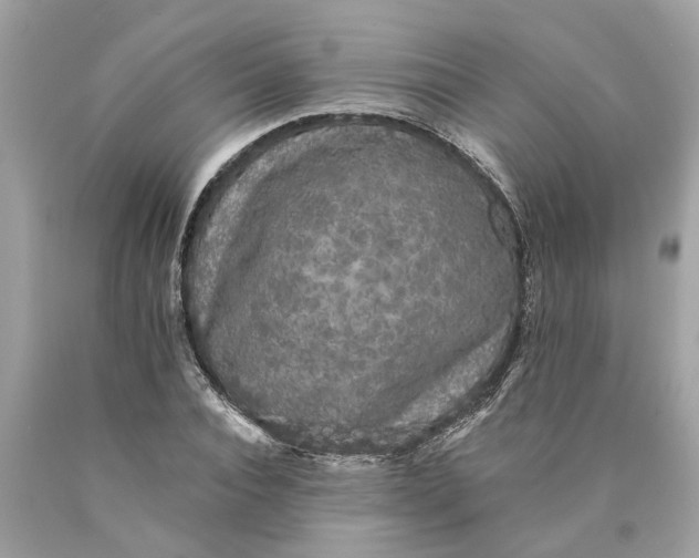 X0000089960928200707201945