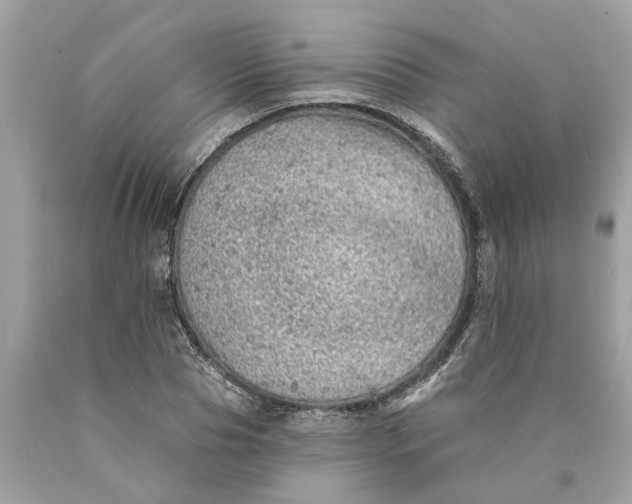 X0000089960929200707201945