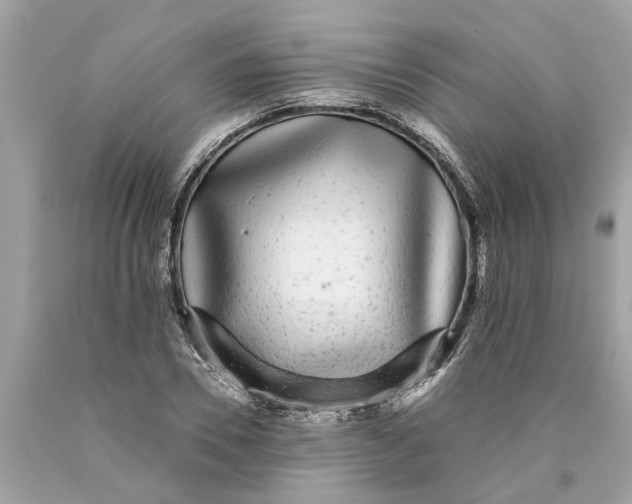 X0000089960930200707201945