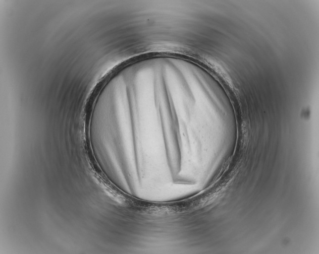 X0000089960931200707201945