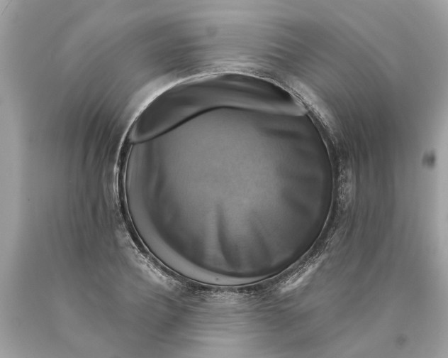 X0000089960932200707201945