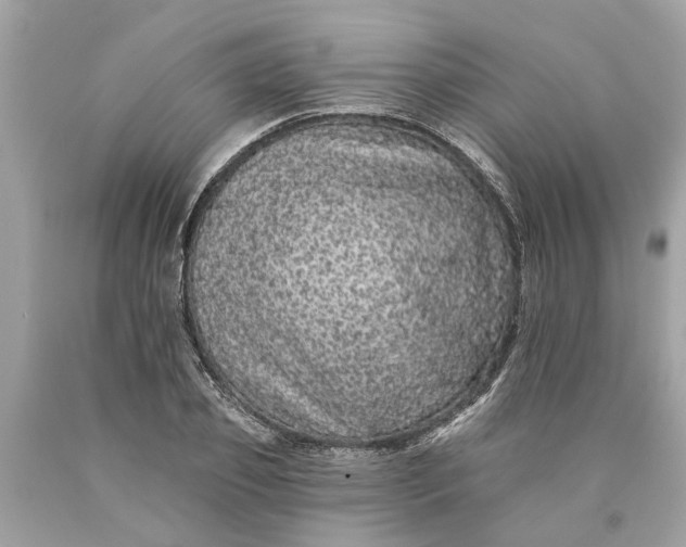 X0000089960933200707201945