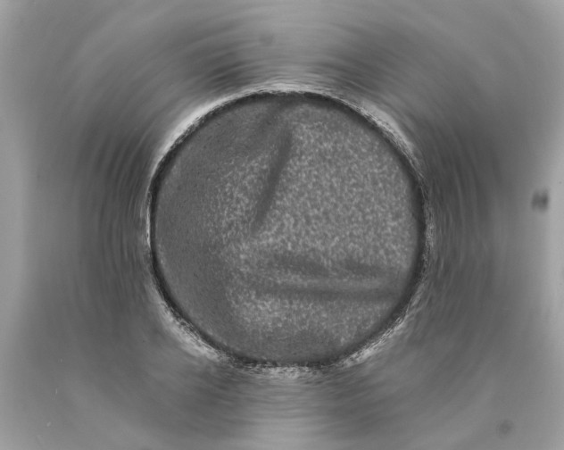 X0000089960934200707201945