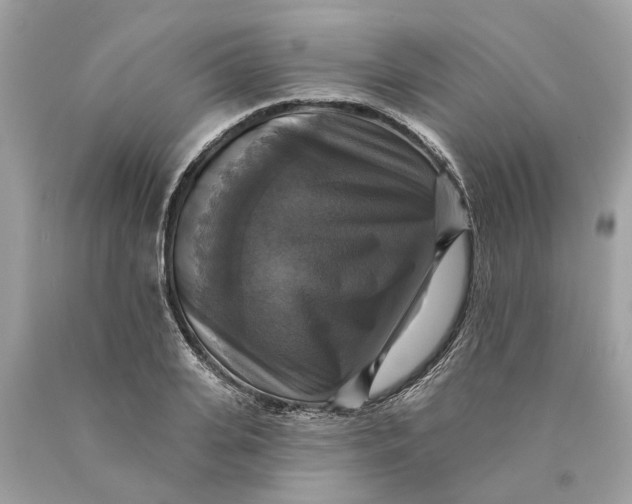 X0000089960935200707201945