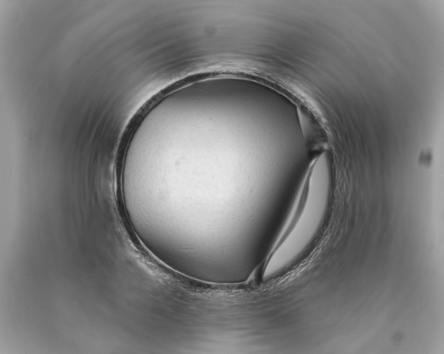 X0000089960936200707201945