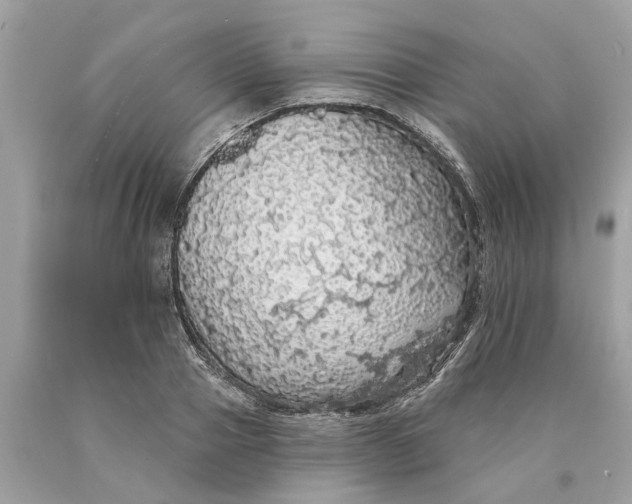 X0000089960937200707201945