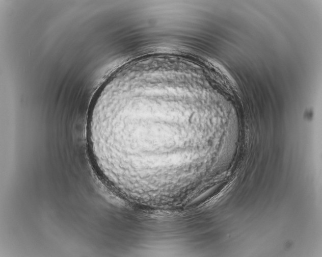 X0000089960938200707201945