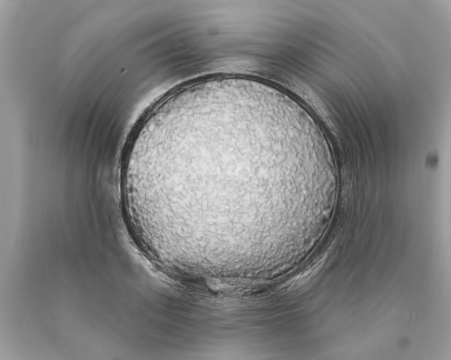 X0000089960939200707201945