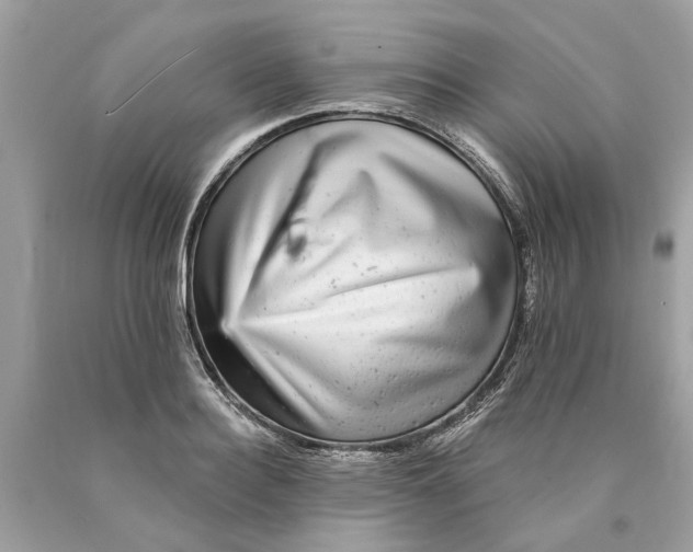 X0000089960940200707201945