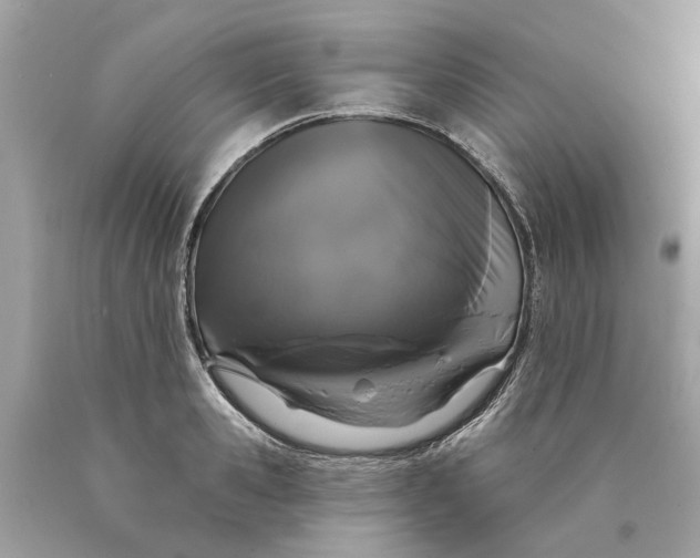 X0000089960941200707201945