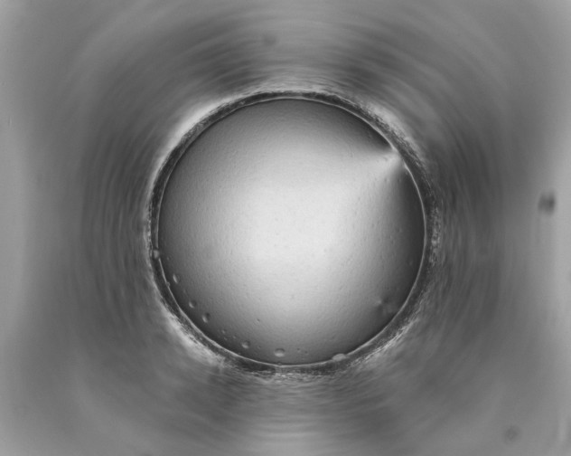 X0000089960942200707201945