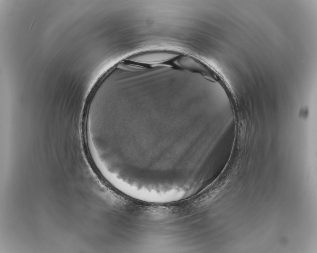 X0000089960943200707201945