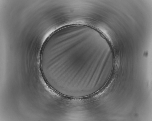 X0000089960944200707201945