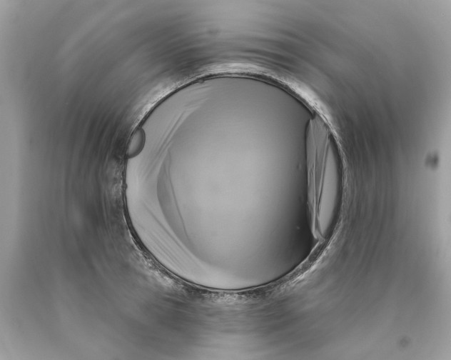 X0000089960945200707201945