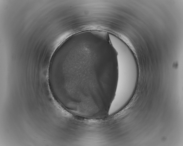 X0000089960946200707201945