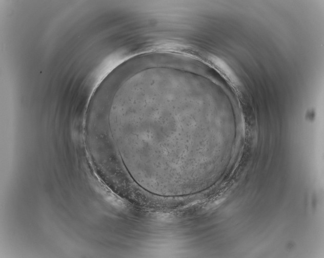 X0000089960948200707201945