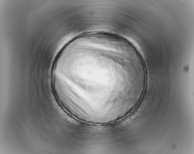 X0000089960949200707201945